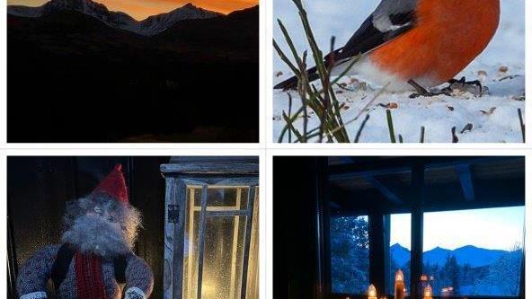 Lenke til artikkel: Ordførerinfo og julehilsen 22.12.2025 