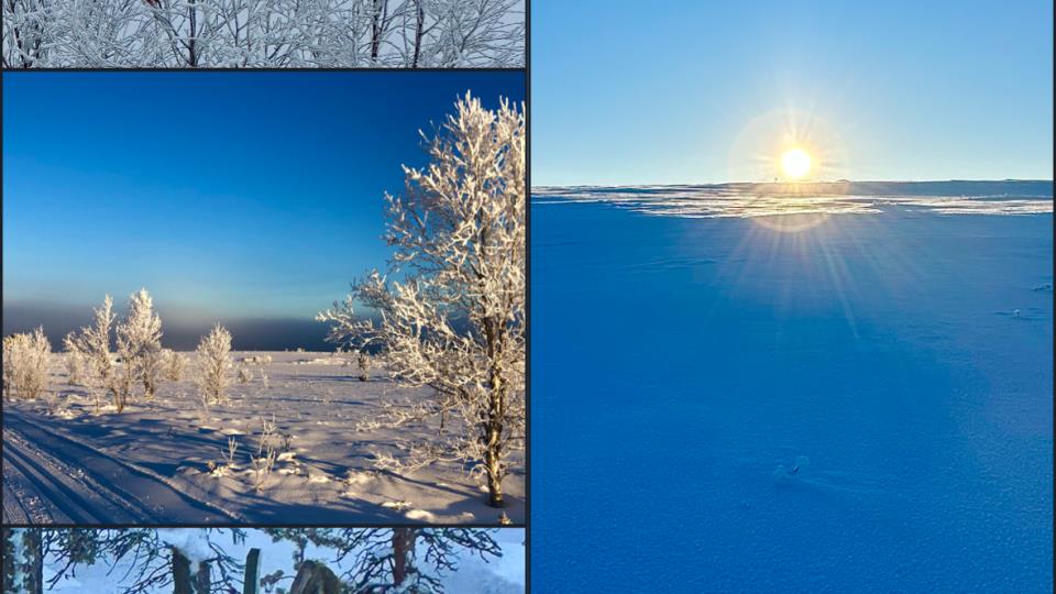 Lenke til artikkel: Ordførerinfo 30.01.26