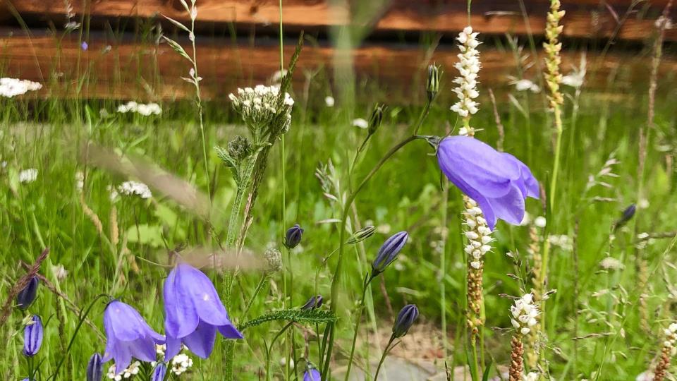 Lenke til artikkel: Ordførerinfo 04.07.25 – med en liten sommerhilsen