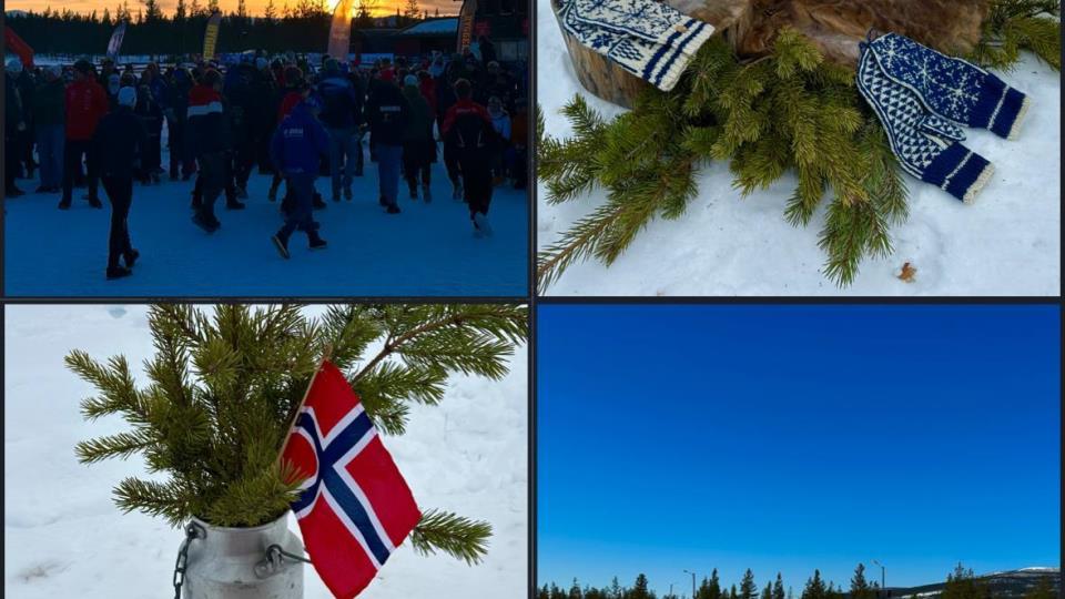 Lenke til artikkel: Ordførerinfo 22.03.26