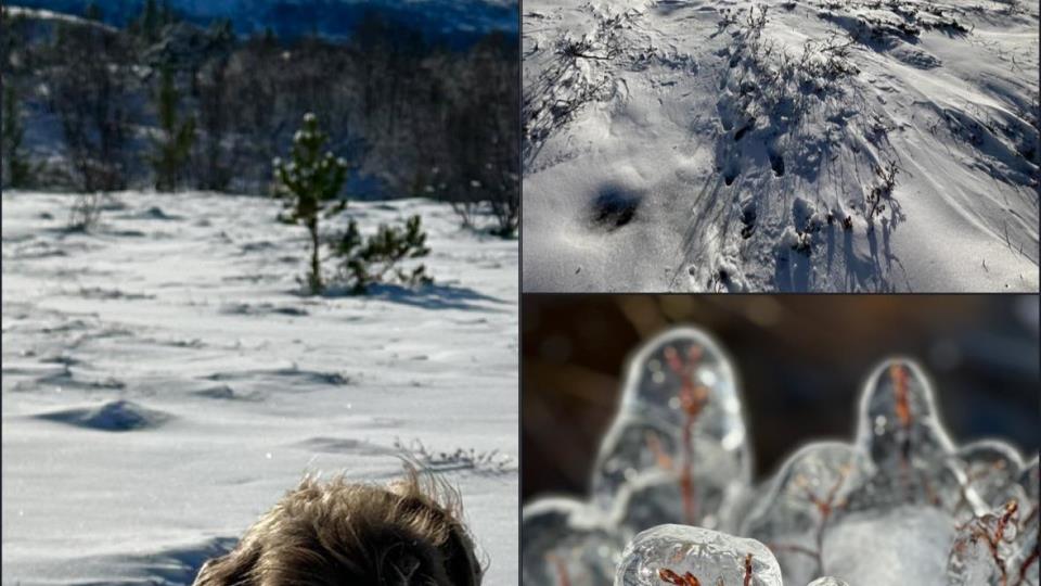 Lenke til artikkel: Ordførerinfo uke 38-40