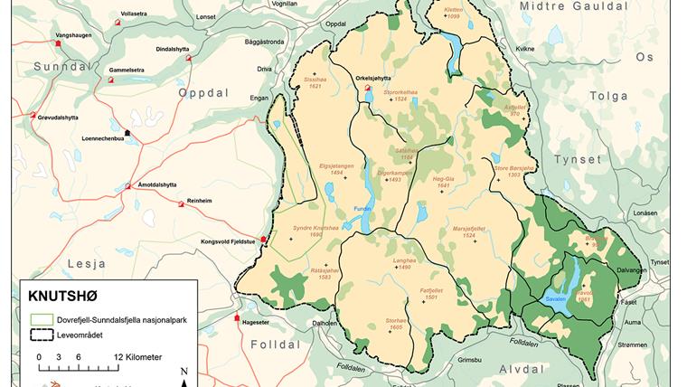 Lenke til artikkel: Innspillsmulighet tiltaksplan for villrein i Knutshø