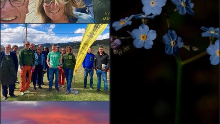 Lenke til artikkel: Ordførerinfo 26.05.23