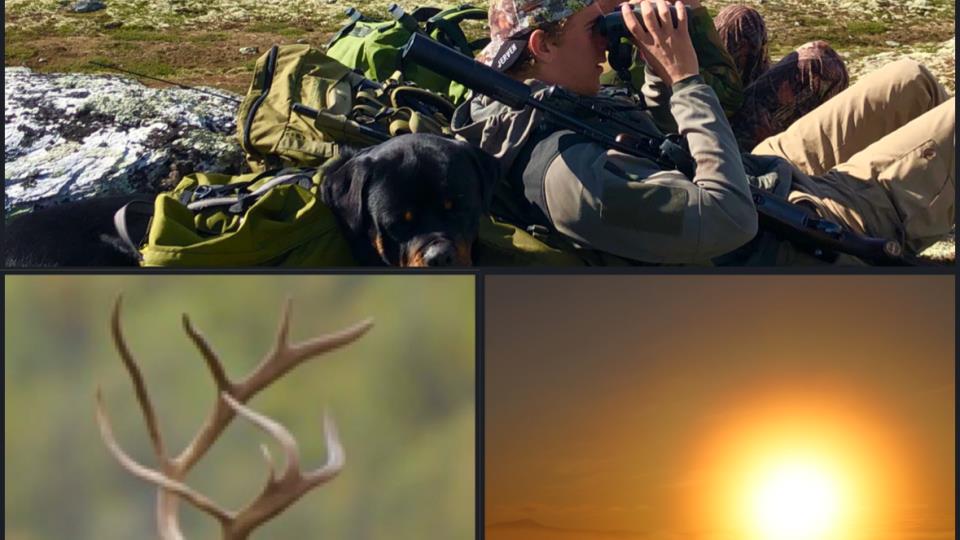 Lenke til artikkel: Ordførerinfo oktober