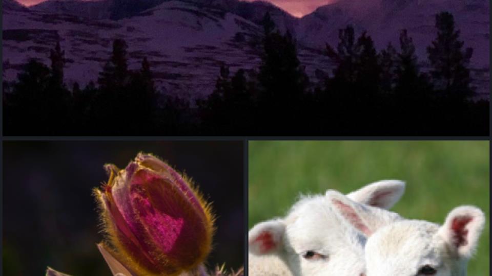 Lenke til artikkel: Ordførerinfo 25.04.25