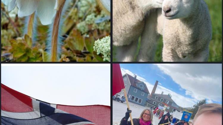 Lenke til artikkel: Ordførerinfo 1. mai