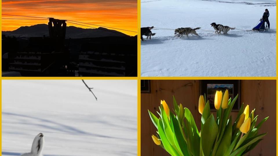 Lenke til artikkel: Ordførerinfo med påskehilsen - 28.03.26