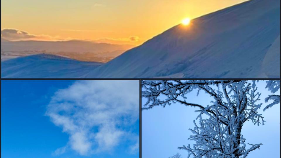 Lenke til artikkel: Ordførerinfo uke 7-8