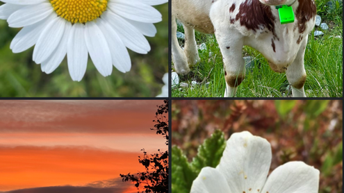 Lenke til artikkel: Ordførerinfo 02.07.26 – med en liten sommerhilsen 