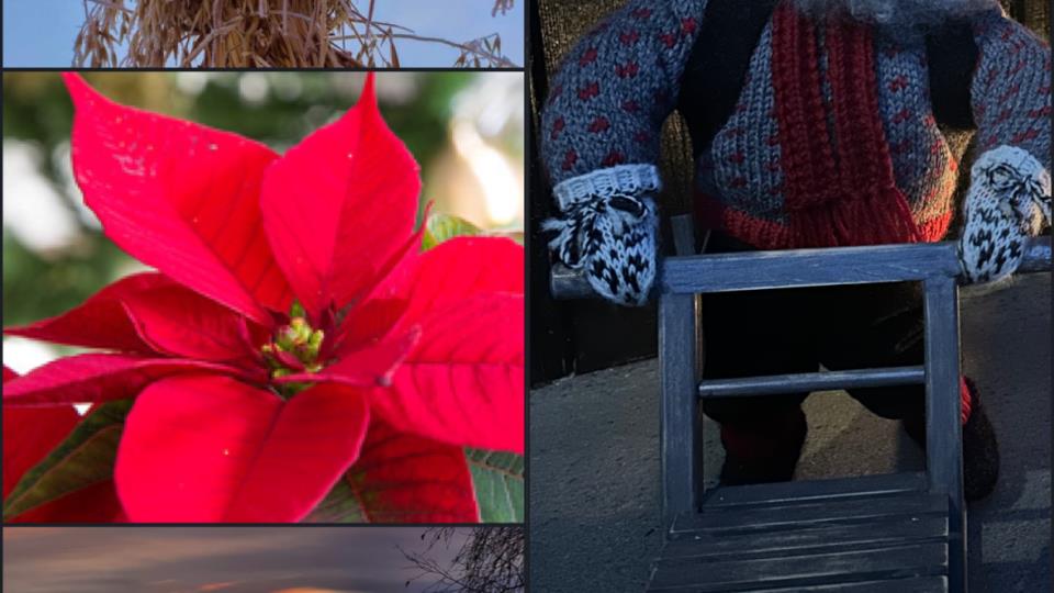 Lenke til artikkel: Julehilsen med ordførerinfo uke 50-51 