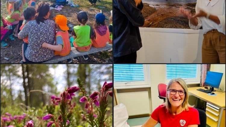 Lenke til artikkel: Ordførerinfo uke 24 og 25