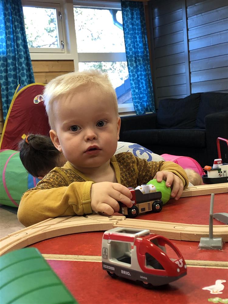 Klikk for stort bilde