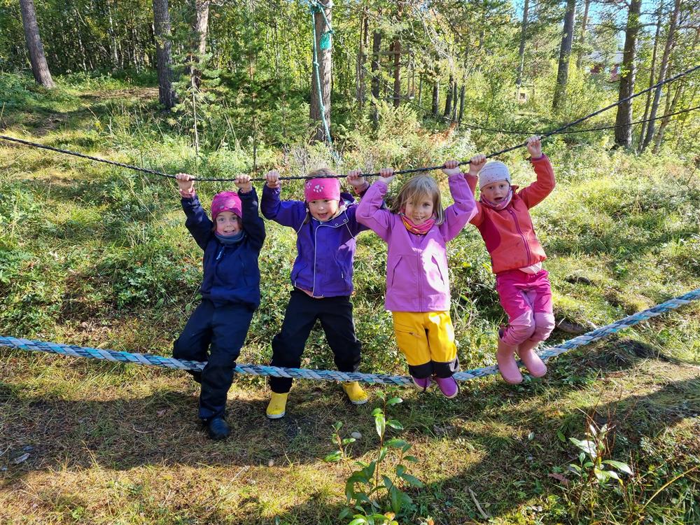 Klikk for stort bilde