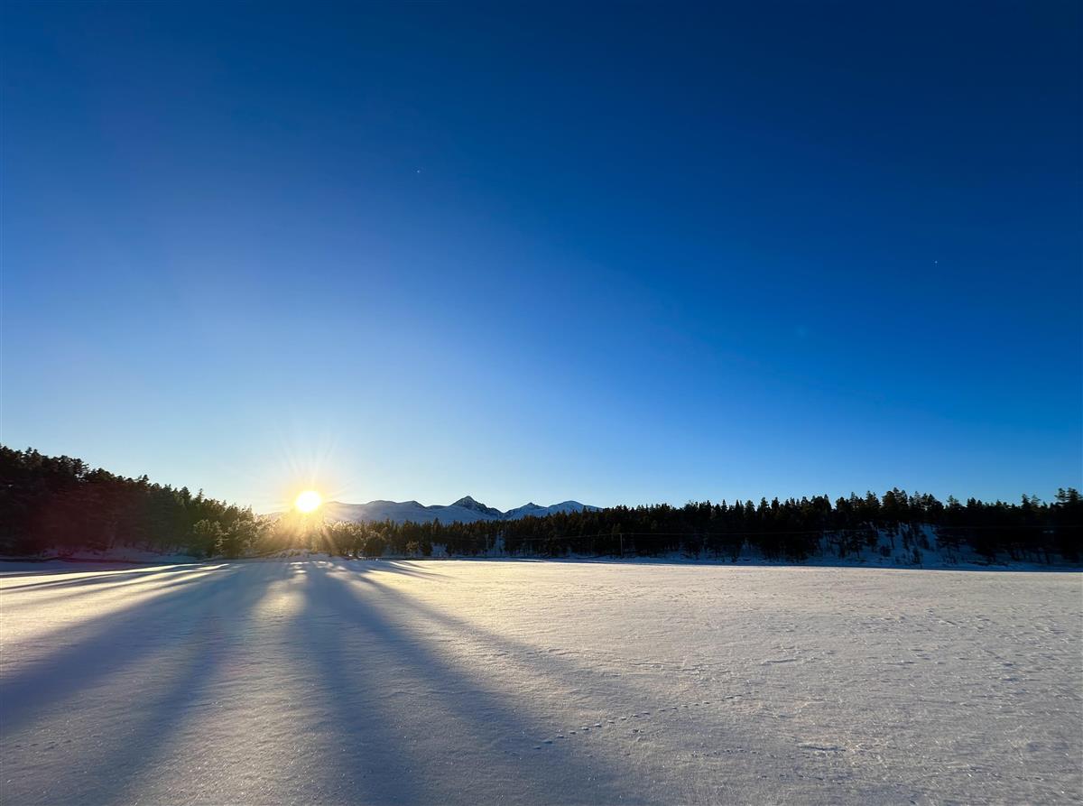 Natur, vinter, Rondane - Klikk for stort bilde