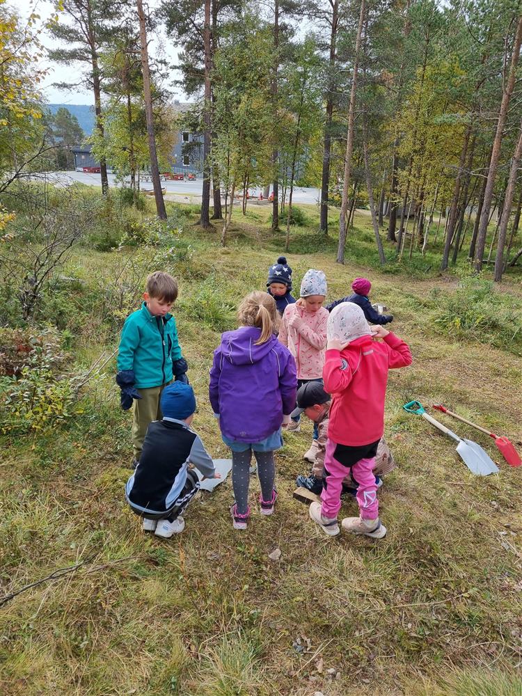 Klikk for stort bilde